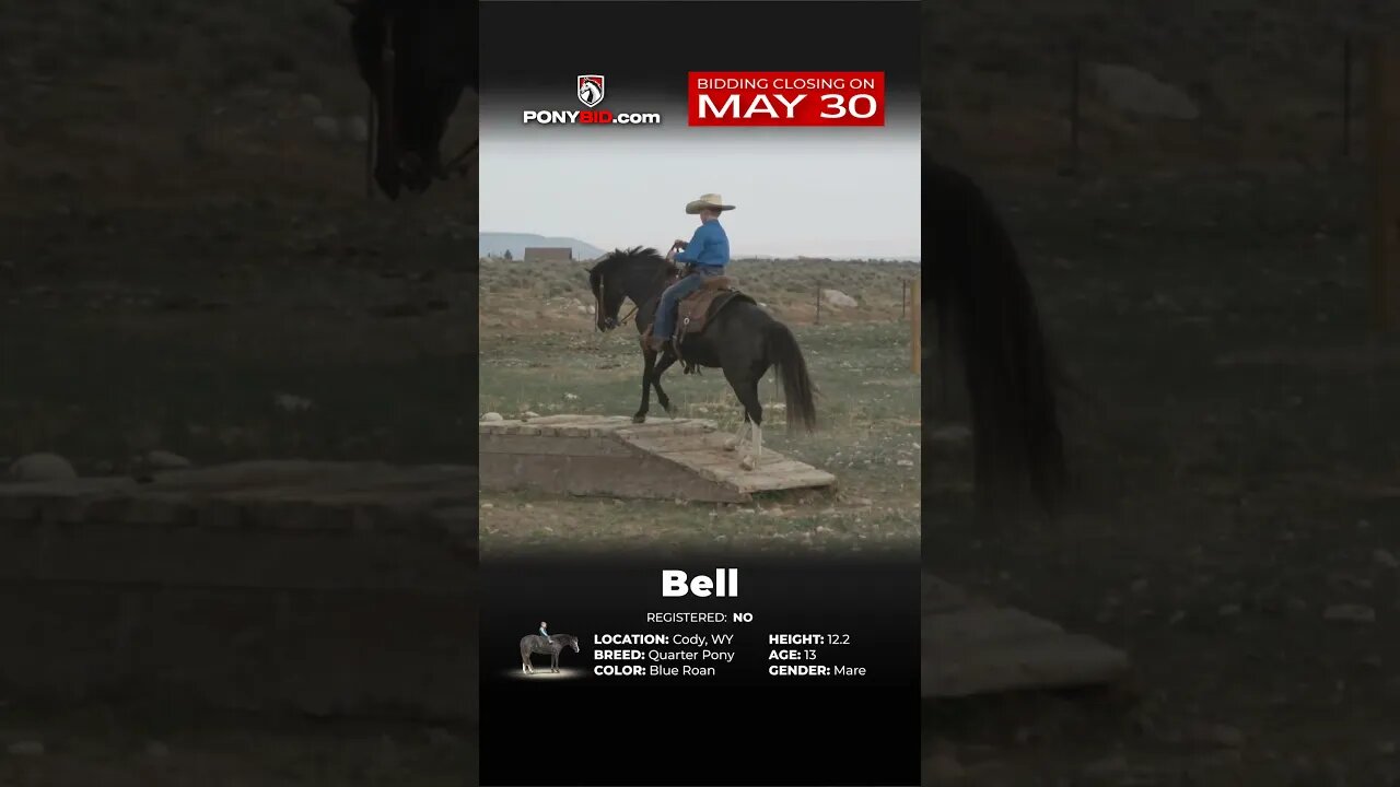 BΞLL