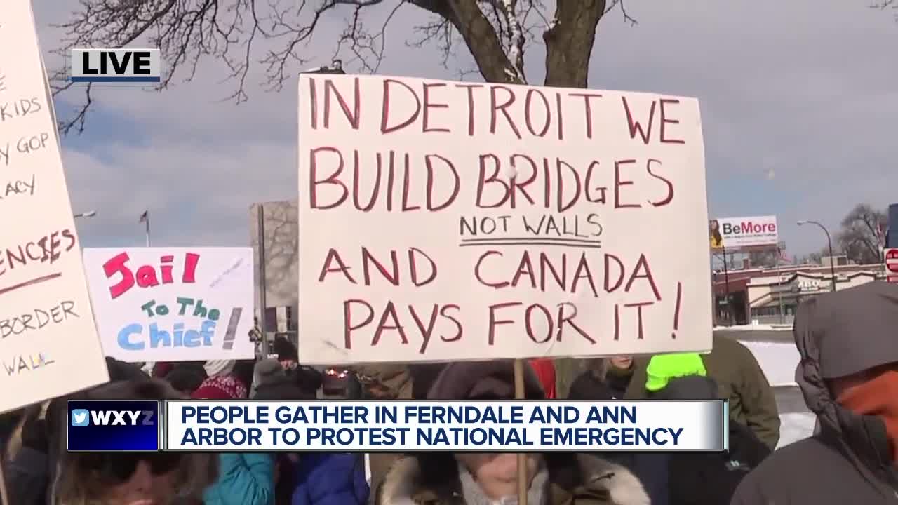 Metro Detroiters protesting Trump's emergency delcaration