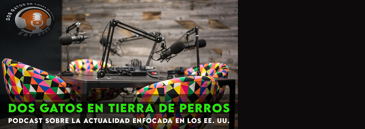 2 Gatos en Tierra de Perros - Charla de la actualidad