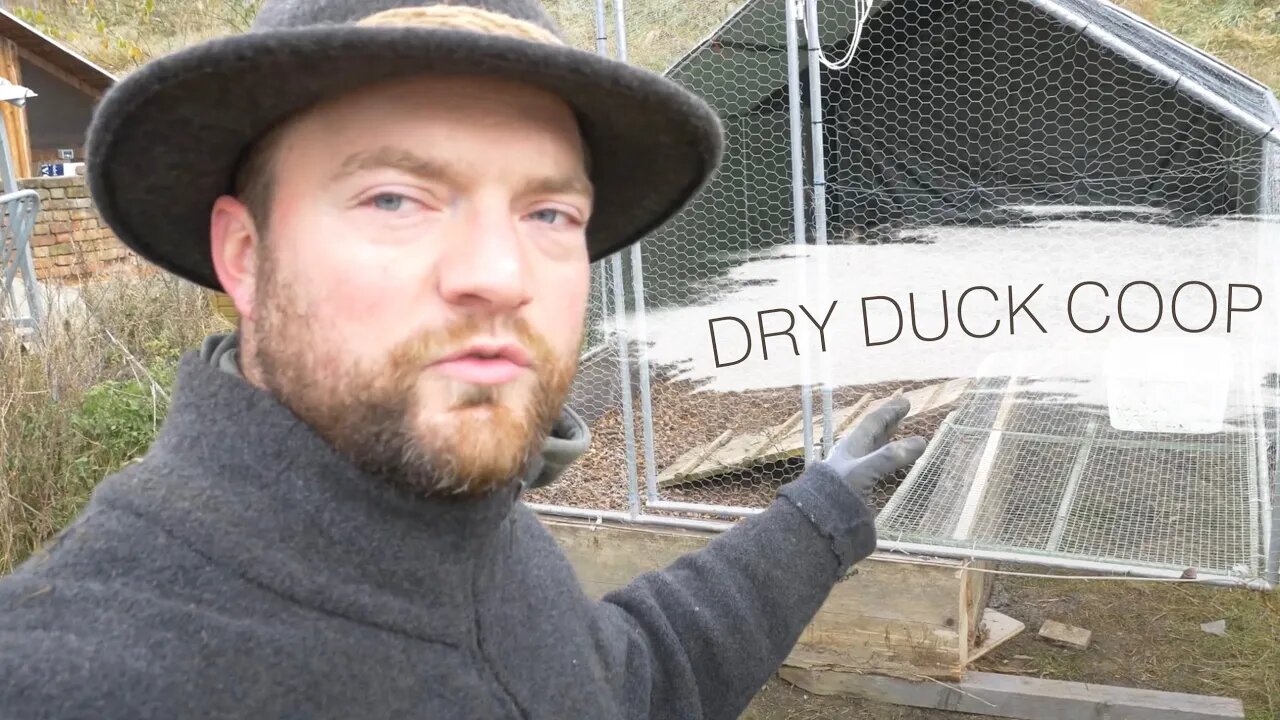 Finally a Clean & Dry Solution for Ducks