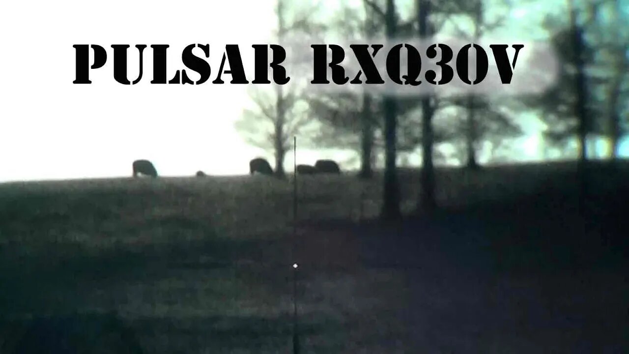 Pulsar RXQ30V Thermal Weapon Sight Unboxing and Overview