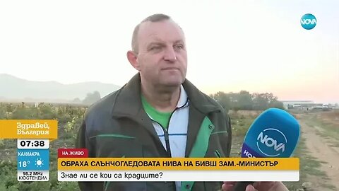 Обраха слънчогледовата нива на бивш заместник министър на земеделието