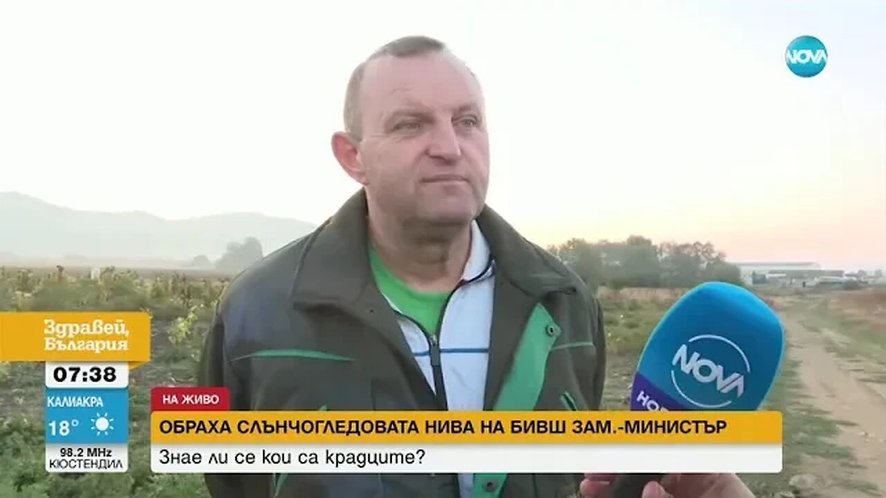 Обраха слънчогледовата нива на бивш заместник министър на земеделието