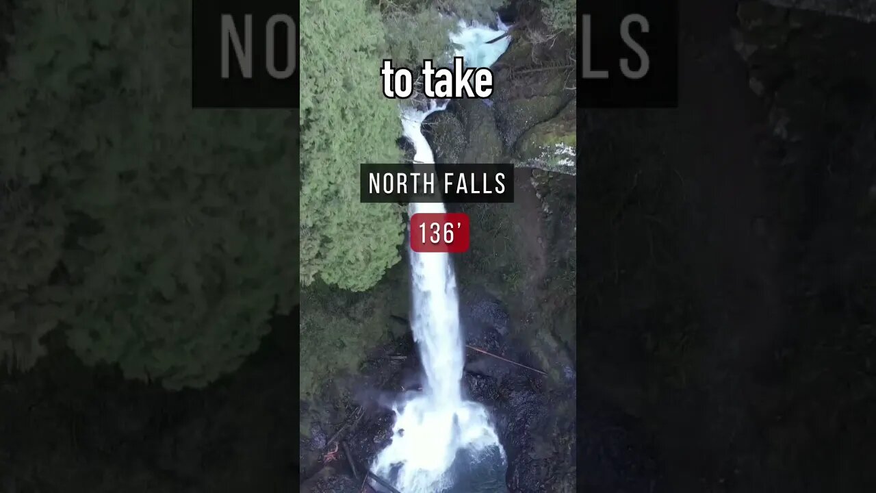 Can You Fall Off A 177" Waterfall And Survive?