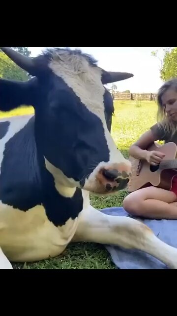 See what’s life all about !!!