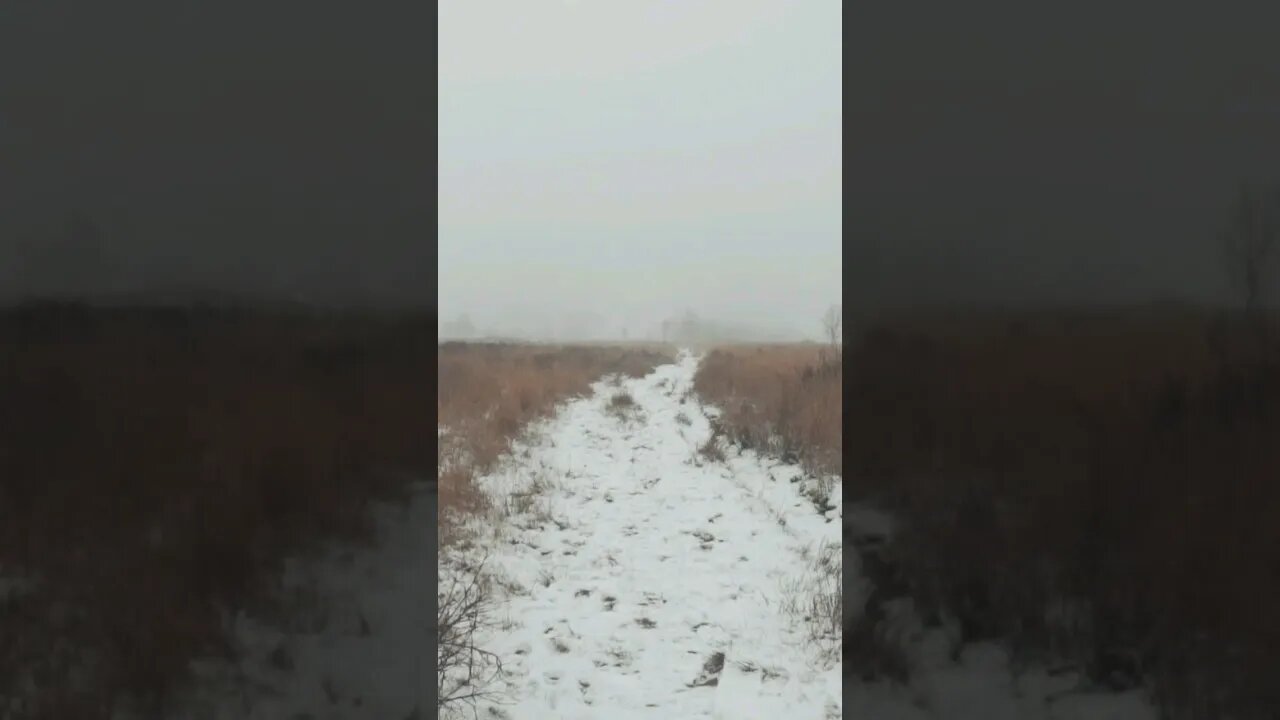 Walking the snow path #shorts