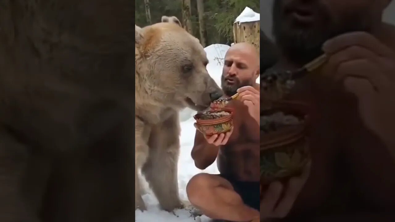 It is best example of Friendships | #Shorts #Animals #Bear