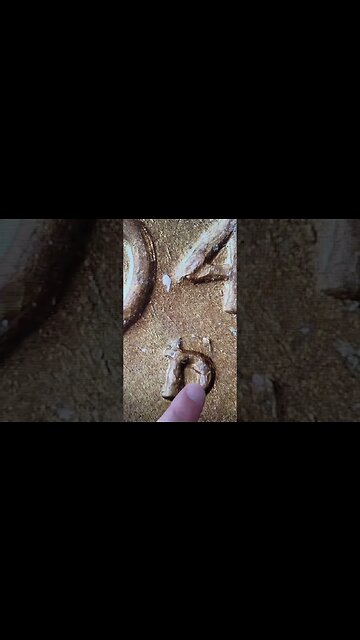 WHY Your Wheat Pennies Could be Valuable! #coin