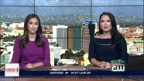 The University of Arizona and Arizona State are set to battle it out for the Territorial Cup