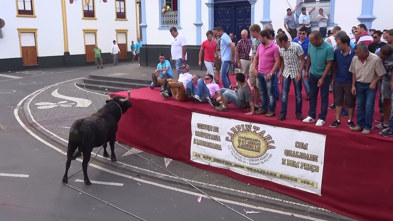 Tourada Agualva - Ganadarias HF & ER - 17Ago2015 - Ilha Terceira - Açores