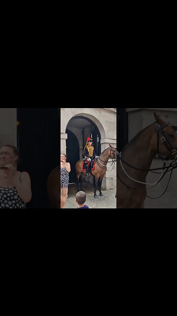 Horse jumps #horseguardsparade