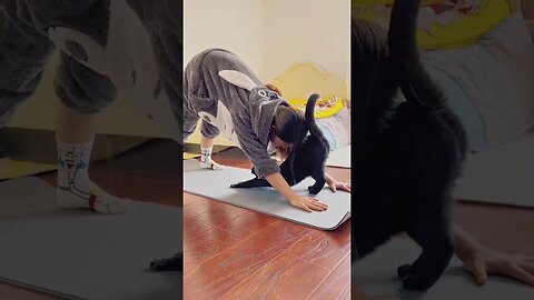 Proper way of doing Stretches in the morning revealed. #Cats #Best Friends # Funny Animals