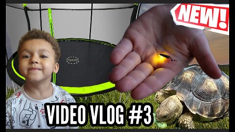 TRAMPOLINE FUN CATCHING LIGHTING BUGS MONSTER IN THE SHED ???#VLOG#YOUTUBE