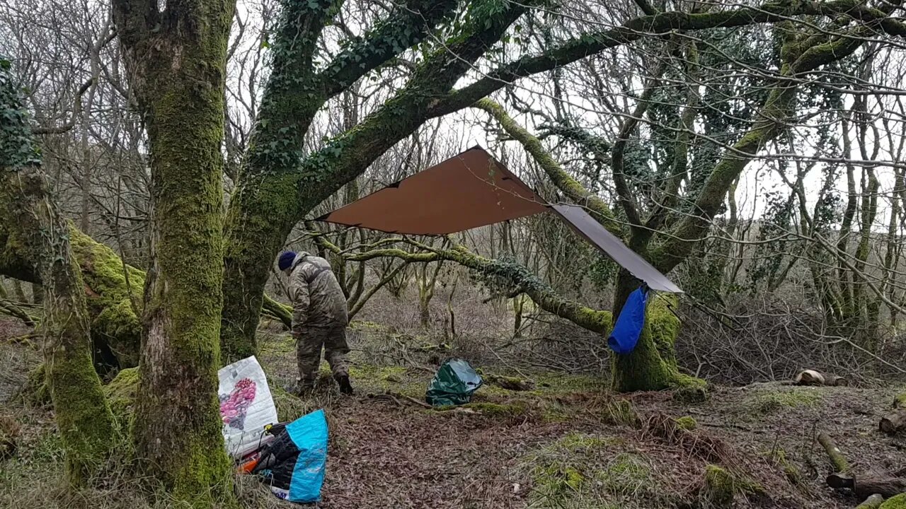 DD hammocks 3x3 tarp. Reddacleave campsite. Dartmoor 26th March 2023