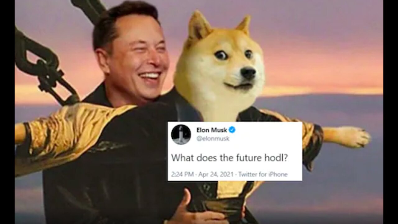 Elon Musk Becomes Twitters LARGEST Shareholder! (Bitcoin Above Strong Support)