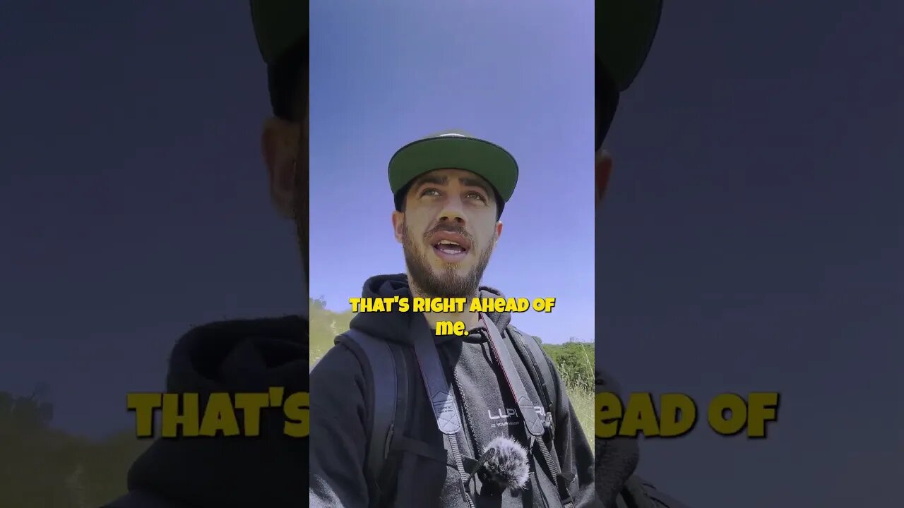 PHOTOSHOOT IN HAYWARD HILLS - Tyler Polani
