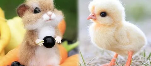 Cute Baby Animals Videos Compilation