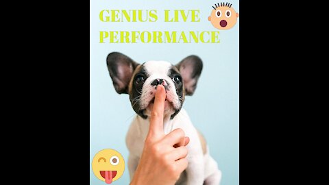 GENIUS LIVE PERFORMANCE