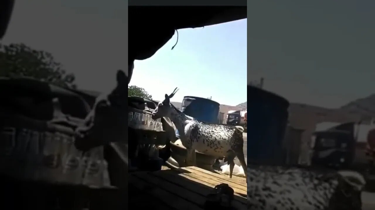 this guy might have a problem
