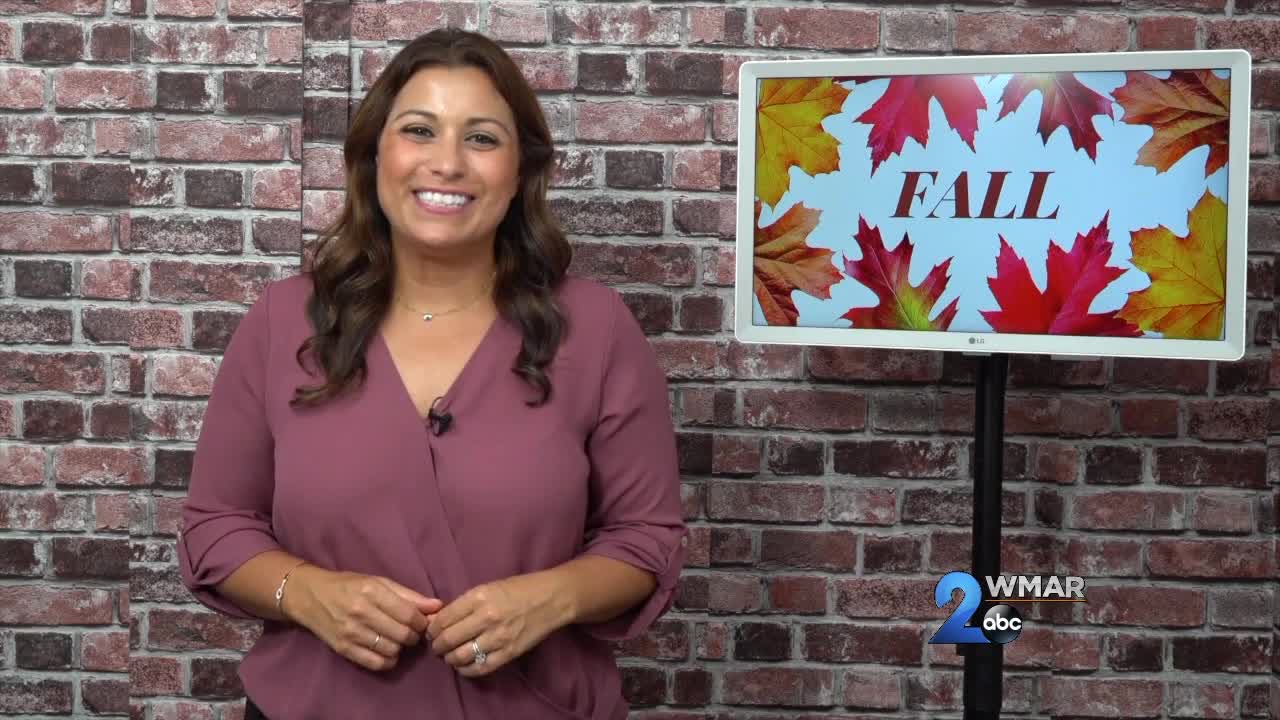 Limor Suss - Fall Beauty Buys