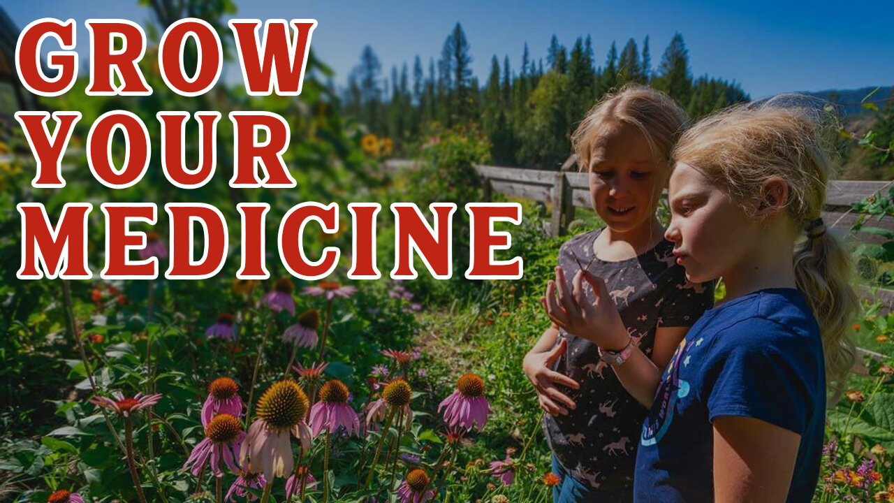 Use THESE Antiviral Herbs for Treating Viruses!