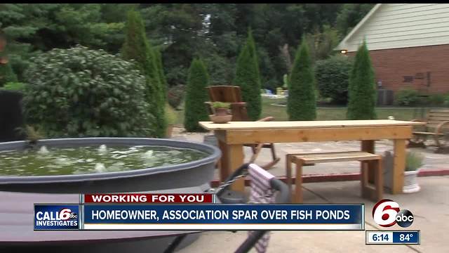 CALL 6: Homeowner, association spar over goldfish
