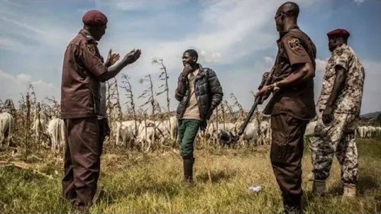 Bandits Take over national park, minning Gold mineral at kanji Niger state