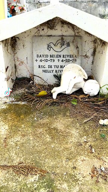 Kad sam vidjela čiji je to grob, znala sam što moram učiniti'