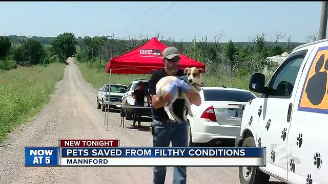 Pets rescued from "deplorable" conditions