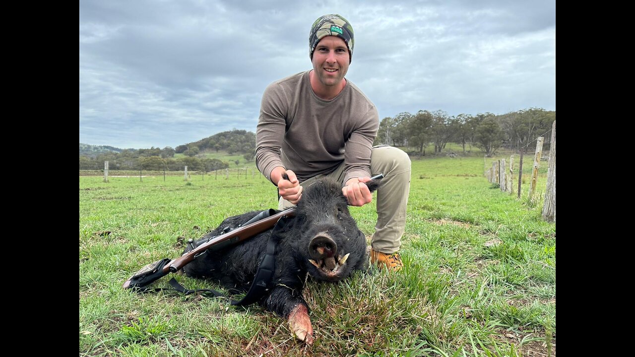 Hunting & Bowhunting Northern NSW November 2023