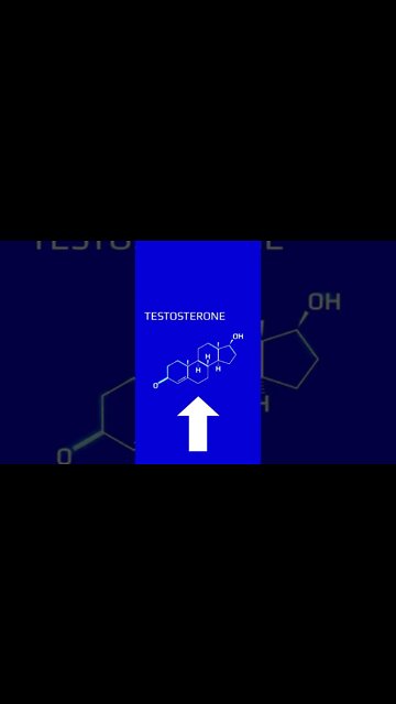 2 𝗕𝗲𝘀𝘁 𝗠𝗶𝗻𝗲𝗿𝗮𝗹 𝗦𝘆𝗻𝗲𝗿𝗴𝗶𝗲𝘀 For High Testosterone 2