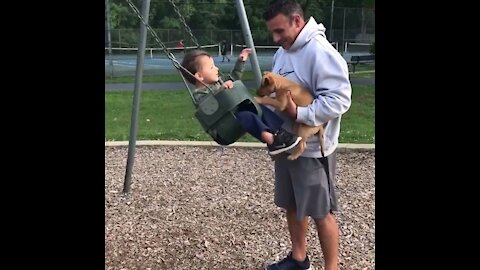Very Cute Baby and Puppy Encounters. GUARANTEED to make you smile :)