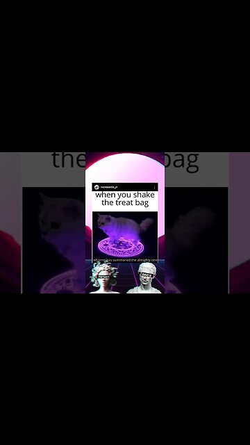 Neckbeardia #Meme Diaries #236 #shorts