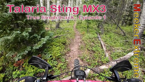 Talaria Sting MX3 - True Singletrack - Episode 1