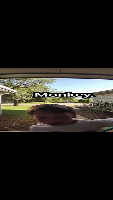 #shorts He Asked Could Monkey Come Out And Play🤔