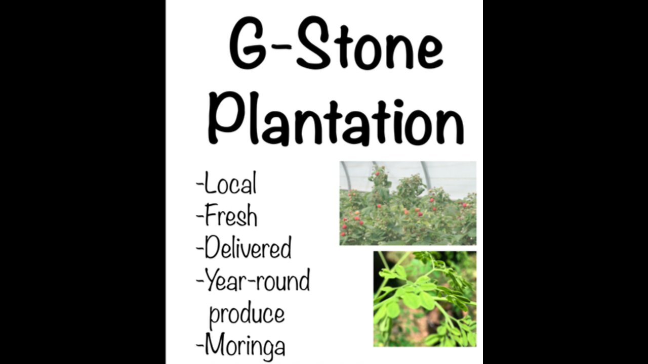 The REAL origin story about G STONE PLANTATION