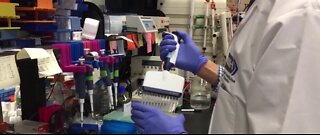 WHO aims to deliver 2B vaccine doses by the end of 2021