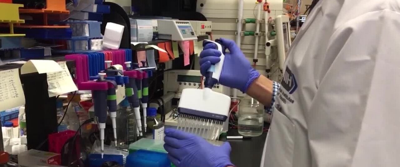 WHO aims to deliver 2B vaccine doses by the end of 2021
