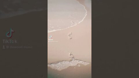 Lost from home #youtubeshorts #beach #shorts