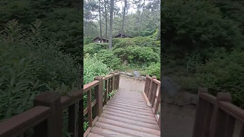 충남 사천군 국립희리산해송자연휴양림