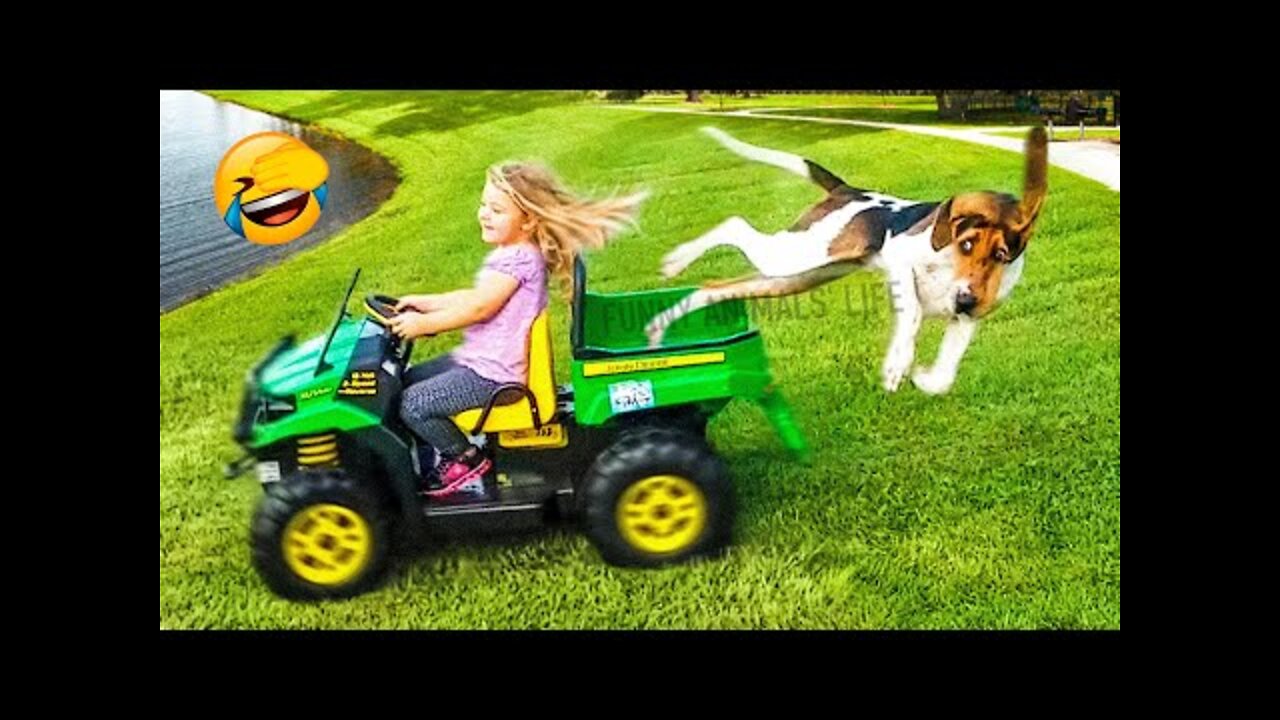 Best Funny Animal Videos 2022 🐶 - Funniest Dogs And Cats Videos 😁🤣