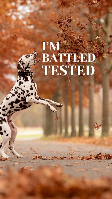 Overcoming Challenges: My Journey of Loss, Failure, and Resilience