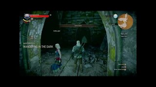 The Witcher 3: Wild Hunt