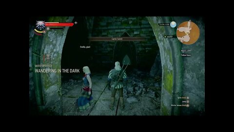 The Witcher 3: Wild Hunt