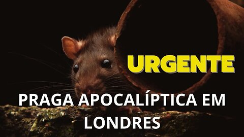 URGENTE PRAGA APOCALÍPTICA EM LONDRES!!!! CONECTADOS COM CRISTO