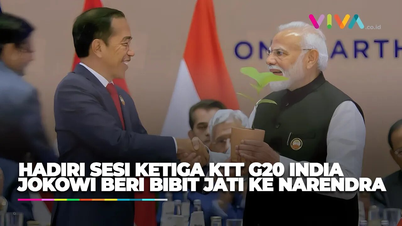 Jokowi Berikan Bibit Pohon Jati untuk Narendra Modi di KTT G20 India