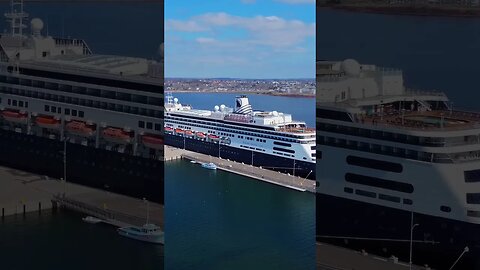 Cruise Ships are So Cool 🛳️ #cruise