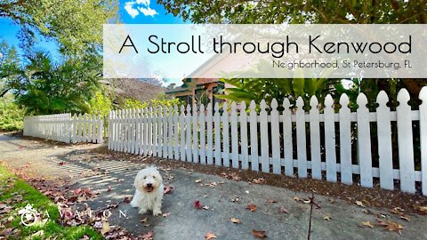 A Stroll Through Kenwood Neighborhood St. Petersburg Fl