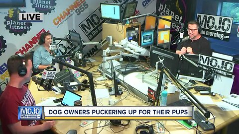 Mojo in the Morning: Dog owners puckering up for their pups