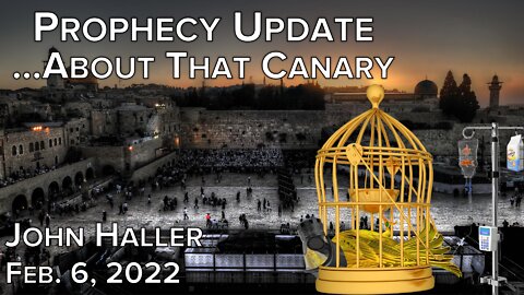 2022 02 06 John Haller's Prophecy Update "...About That Canary"